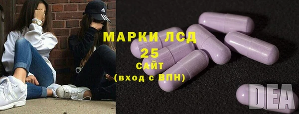 крисы Козельск