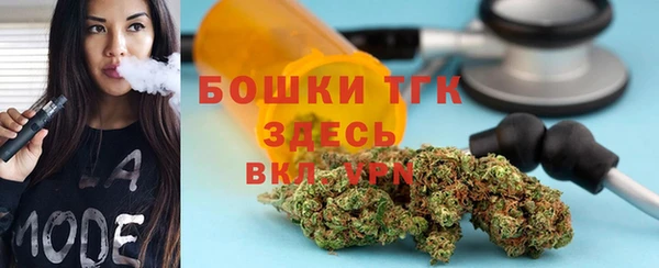 индика Коряжма