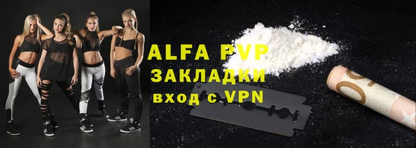 индика Коряжма