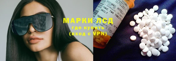 индика Коряжма