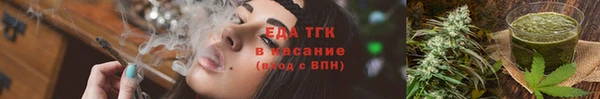 крисы Козельск