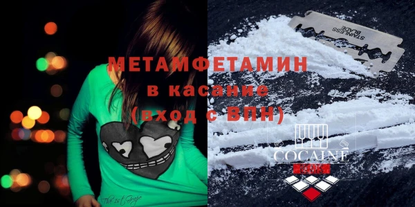 крисы Козельск