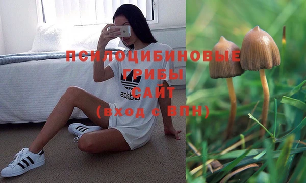 индика Коряжма