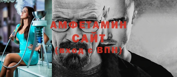 индика Коряжма